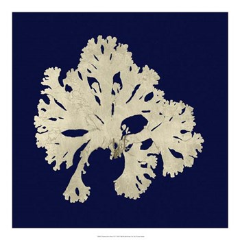 Seaweed on Navy IV by Vision Studio art print