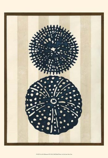 Sea Life Silhouette II by June Erica Vess art print