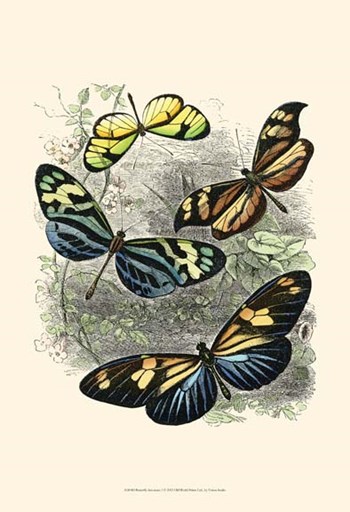 Butterfly Sanctuary I by Vision Studio art print