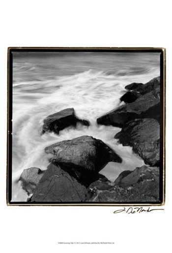 Incoming Tide I by Laura Denardo art print