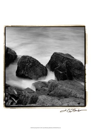 Incoming Tide II by Laura Denardo art print