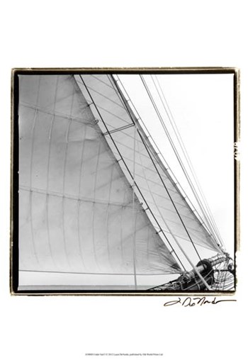 Undersail I by Laura Denardo art print