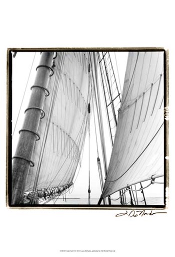 Undersail II by Laura Denardo art print