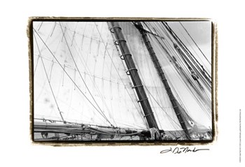 Undersail III by Laura Denardo art print
