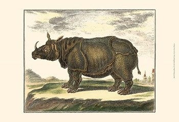 Rhino by Denis Diderot art print