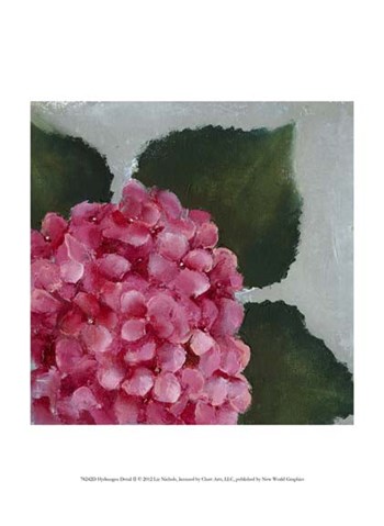 Hydrangea Detail II by Liz Nichols art print