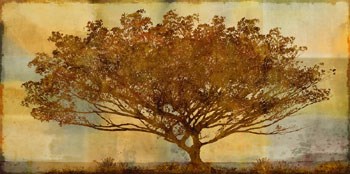 Autumn Radiance Sepia by Mark Chandon art print