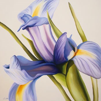 Iris Wind by Carolina Alotus art print