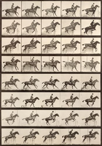 Jumping a Hurdle by Eadward Muybridge art print