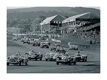 Goodwood by Ben Wood art print