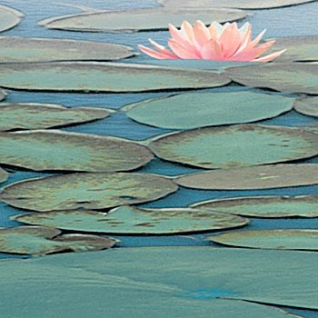 Lily Pool III by Adam Brock art print