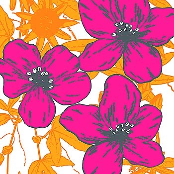 Flower Garden II by Sasha Blake art print