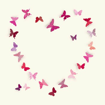 Butterfly Heart II by Sasha Blake art print