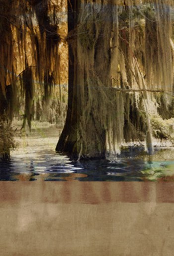 Low Country Trees II by Sisa Jasper art print