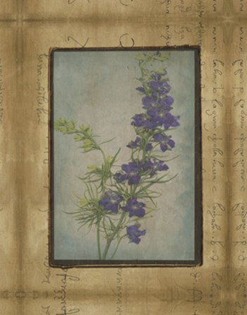 Photographic Floral Collage I by Ethan Harper art print