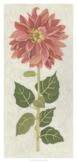 Non-Embellished Dahlia I by Chariklia Zarris art print