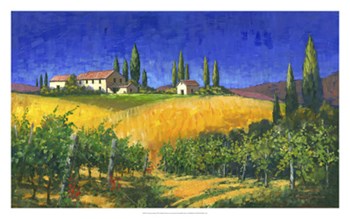 Tuscan Evening by Michael Swanson art print