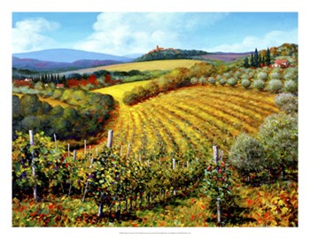 Chianti Vineyards by Michael Swanson art print