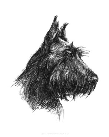 Canine Study II by Ethan Harper art print
