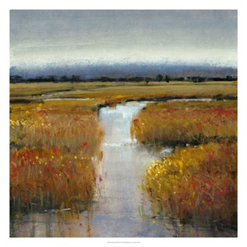 Marsh Land II by Timothy O&#39;Toole art print