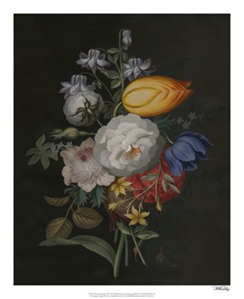 Dramatic Bouquet III art print