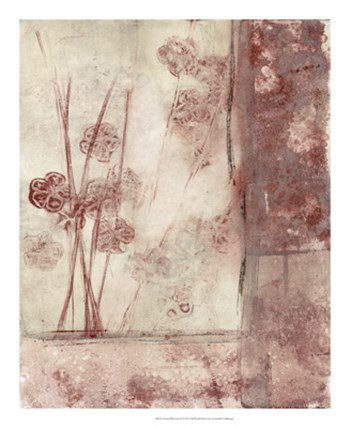 Framed Blossoms II by Jennifer Goldberger art print