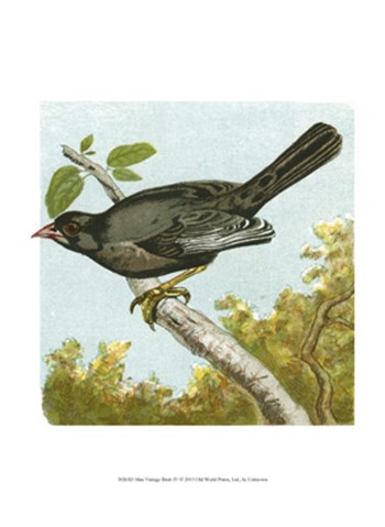 Mini Vintage Birds IV art print