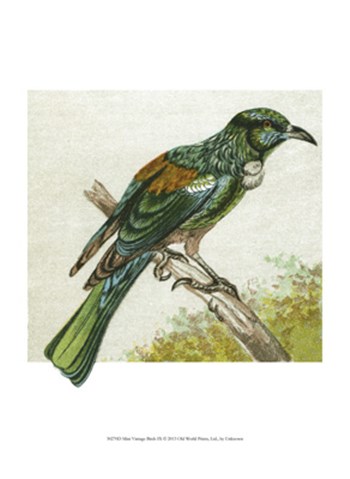 Mini Vintage Birds IX art print