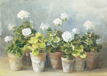 White Geraniums by Danhui Nai art print