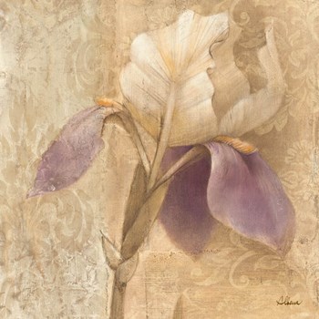 Brocade Iris by Albena Hristova art print