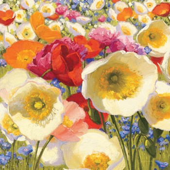 Sunny Abundance Crop by Shirley Novak art print