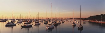 Sunset &amp; harbor Chicago IL USA by Panoramic Images art print
