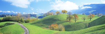 Rolling Landscape, Zug, Switzerland by Panoramic Images art print