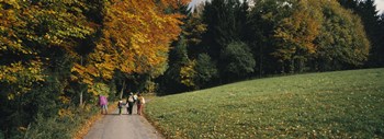 Group of people walking on a walkway in a park, St. Peter, Black Forest, Baden-Wurttemberg, Germany by Panoramic Images art print