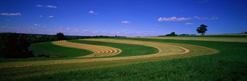 Farmland IL USA by Panoramic Images art print