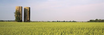 USA, Arkansas, View of grain silos in a field by Panoramic Images art print