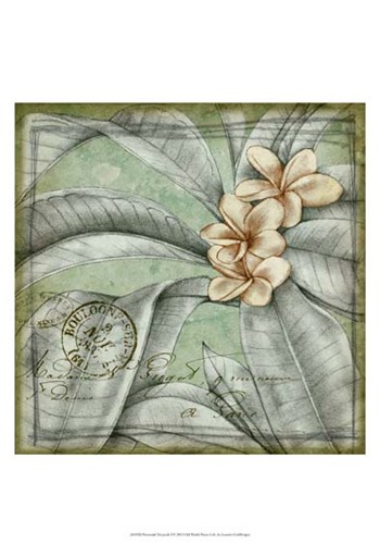 Postmark Tropicals I by Jennifer Goldberger art print