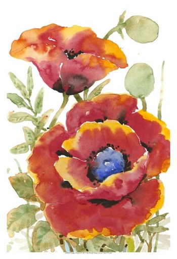 Poppy Floral I by Timothy O&#39;Toole art print