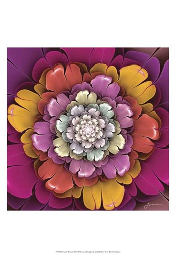 Fractal Blooms II by James Burghardt art print