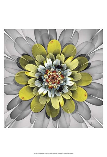 Fractal Blooms IV by James Burghardt art print