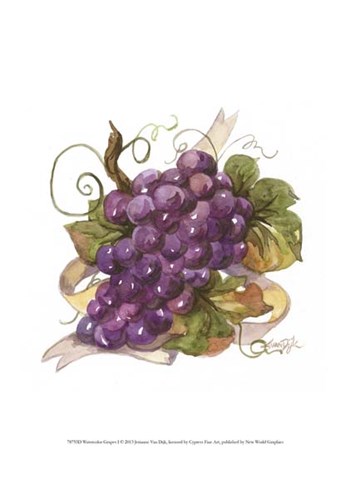 Watercolor Grapes I by Jerianne Van Dijk art print
