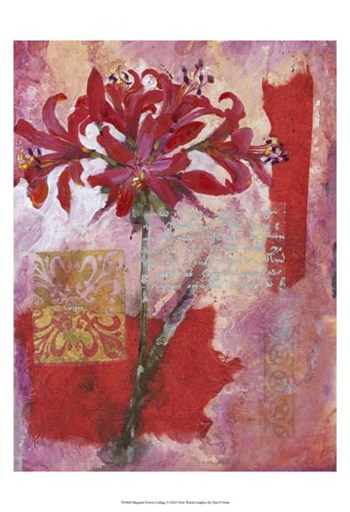 Magenta Flower Collage I by Timothy O&#39;Toole art print