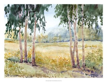 Luminous Meadow II by Timothy O&#39;Toole art print