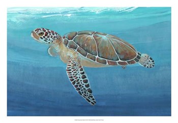 Ocean Sea Turtle II by Timothy O&#39;Toole art print