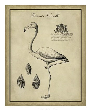 Antiquarian Flamingo by Vision Studio art print