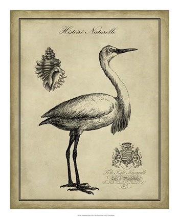 Antiquarian Egret by Vision Studio art print
