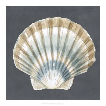 Shell on Slate III by Megan Meagher art print