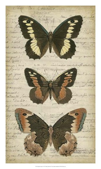 Butterfly Script I by Vision Studio art print