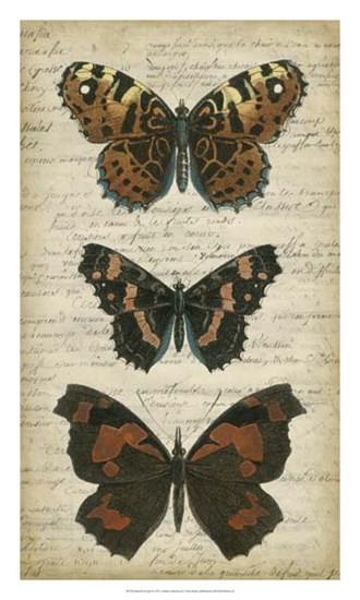 Butterfly Script II by Vision Studio art print