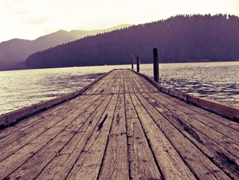 Chinook by Leah Flores art print